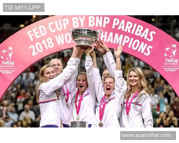 武汉篮球队在联合会杯中的灵活战术与团队配合分析