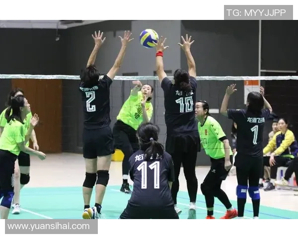 最新排球节奏排行榜揭晓北京排球队稳居榜首引领风骚